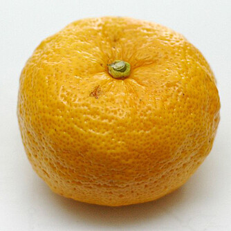 YUZU: Sitrusfrukt som setter smak på f.eks. sausen ponzu.