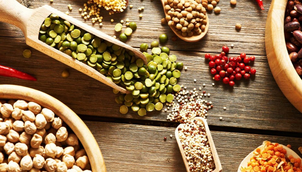 VEGETARIANER ELLER VEGANER? Belgfrukter, som soya, bønner og linser, gir deg protein og vitamin B12, som det lett kan bli for lite av når du er gravid.