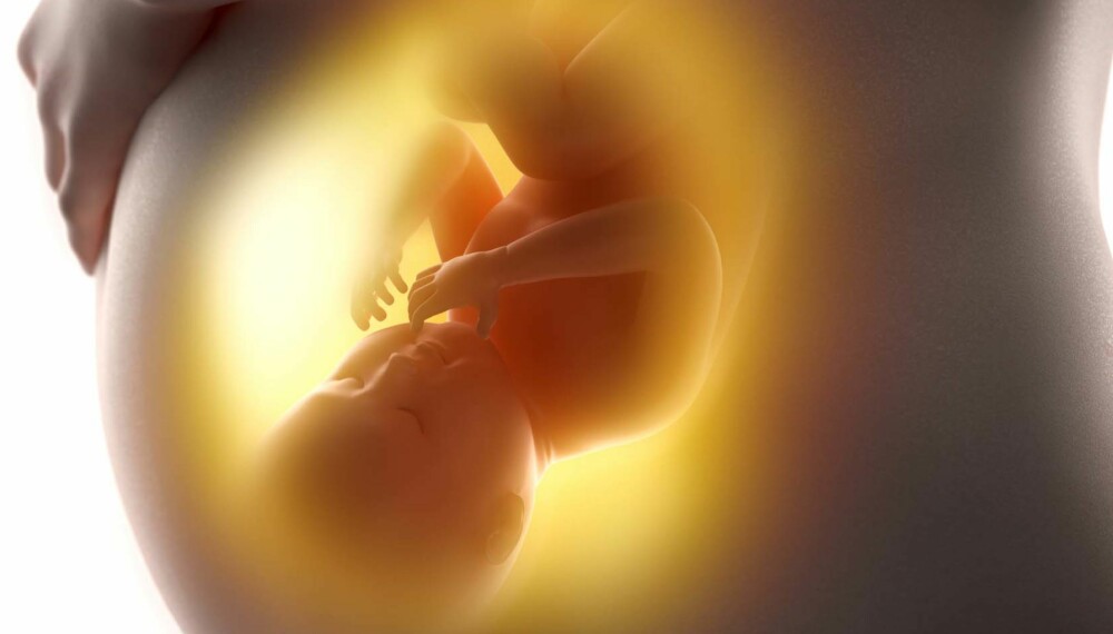 SMAK: Det du spiser i svangerskapet vil påvirke hva barnet liker, viser studier. Fra uke ti svelger nemlig babyen fostervann i magen. SMAK: Det du spiser i svangerskapet vil påvirke hva barnet liker, viser studier. Fra uke ti svelger nemlig babyen fostervann i magen.