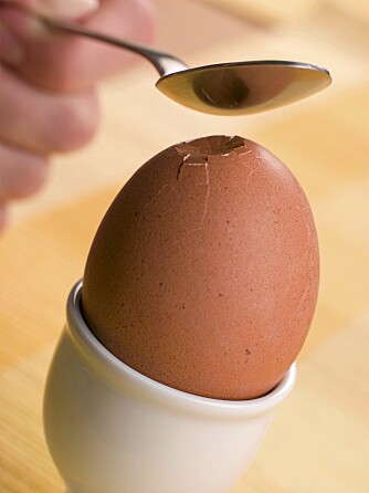 NÆRINGSRIKE EGG: Spis egg med god samvittighet. De inneholder nemlig en rekke næringsrike stoffer som er bra for hjernen.
