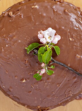 FIRKLØVERKAKE: En god sjokoladekake hører alltid med.