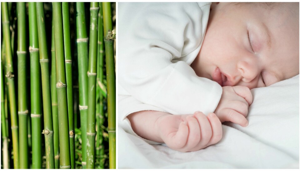 BAMBUSKLÆR TIL BARN: Markedsføringen av bambusklær fremstiller stoffet som naturlig, miljøvennlig og antibakterielt. Men strengt tatt er det bare snakk om helt vanlig viskose. Foto: Colourbox.com.