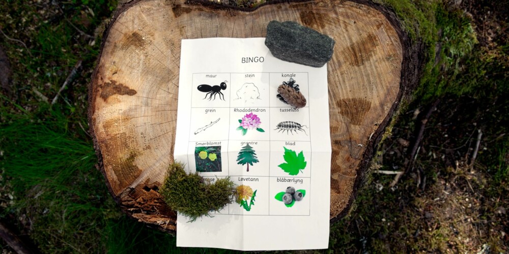 NATURBINGO MED BARN: En annen variant er å samle sammen det man leter etter. NATURBINGO MED BARN: En annen variant er å samle sammen det man leter etter.