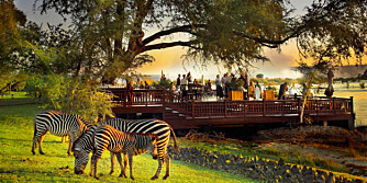 ROYAL LIVINGSTON HOTEL: Nyt de fantastiske omgivelsene i majestetiske Zambia.