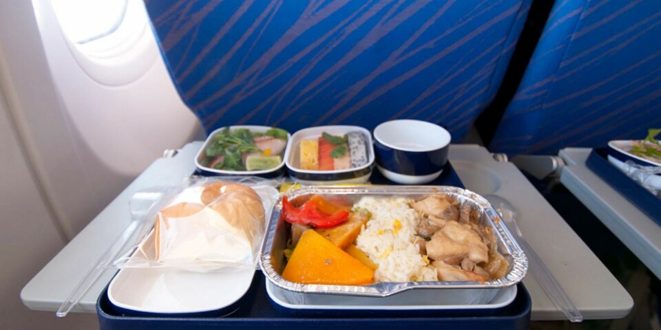 Derfor smaker flymat ekkelt