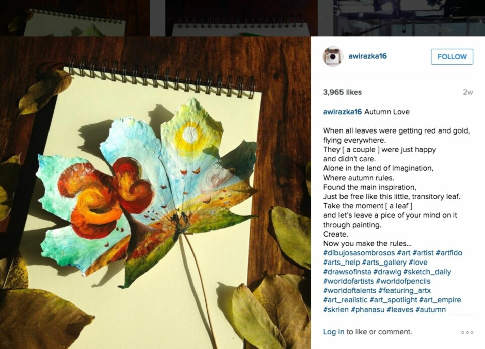 INSTA: Johannas instagramkonto har mange nydelige blader og poetisk tekst til.