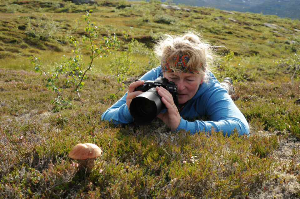 TETT PÅ: Naturfotograf Aina Bye legger seg gjerne helt flat når hun skal fotografere. Nye vinkler og merkelige posisjoner er ofte det som skal til for å skape spennende motiv.