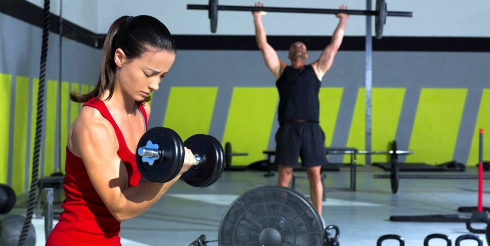 FRIVEKTER: Skal du trene styrketrening, bør det være godt utstyrt med frivekter ¿ både stenger, vektskiver og manualer.