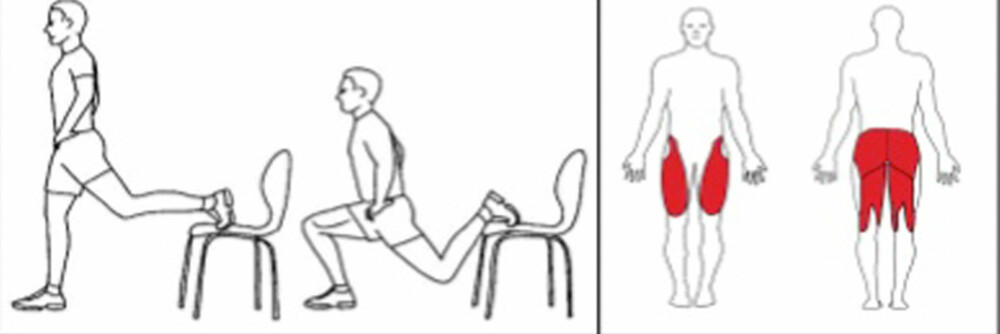 UTFALL: Stå på ett ben med knær og tær pekende rett frem. Sett en stol ca 1 meter bak deg og 
plasser motsatt ben på stolen. Gjør en knebøy og vær påpasselig med å holde kne 
over tå under hele øvelsen. Kalles også bulgarsk utfall.