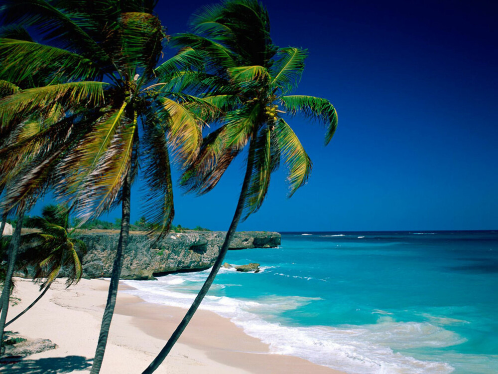 PARADIS: Det skorter ikke på vakre strender å nyte solen på i Karibien.