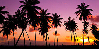 SOLNEDGANGER: Å se solen gå ned på Jamaica er en opplevelse du ikke så raskt glemmer.