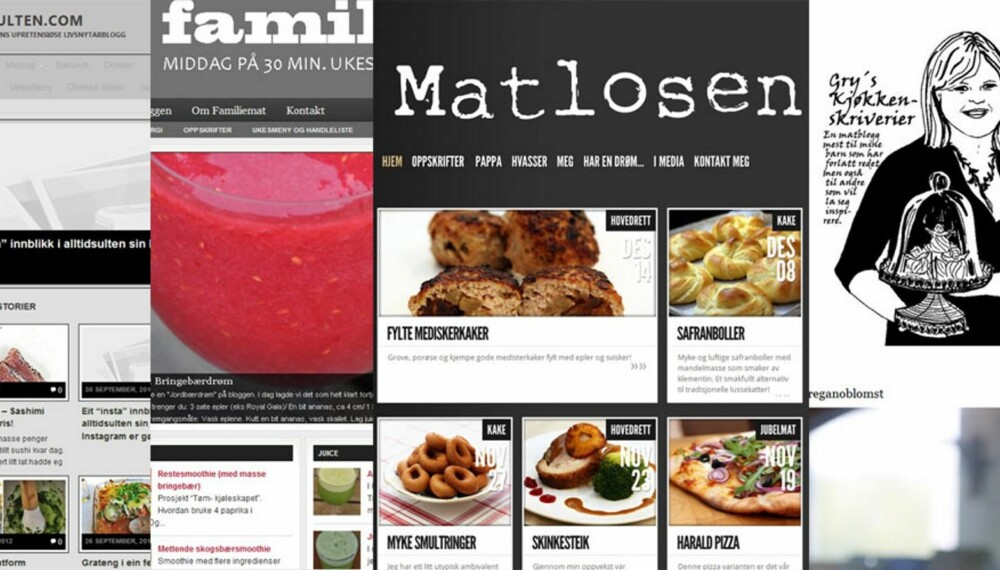 MATBLOGGER: Bloggerne bak Alltidsulten.com, Familiemat.no, Matlosen.com og Gryskjokkenskriverier.blogspot.no gir deg sine beste middagstips.