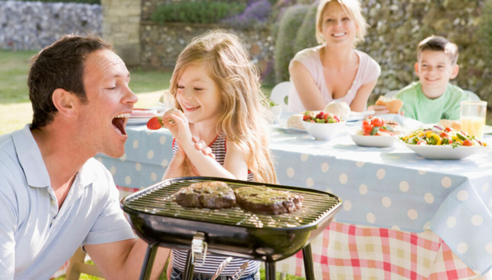 Alternativt grilltilbehør