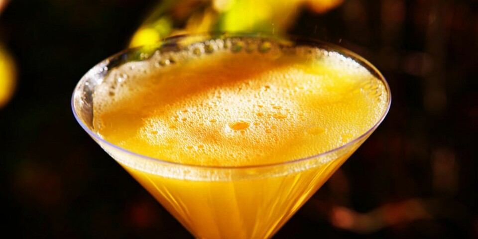 MUSSERENDE OG JUICE: Én måte å lære seg å like musserende vin på er å blande 50/50 musserende, for eksempel Cava, med appelsinjuice. Drinken passer også perfekt som velkomstdrink.