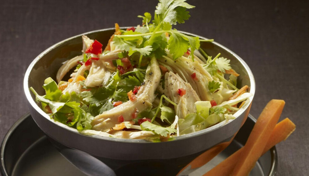 Dagens rett: Vietnamesisk kylling- og kålsalat