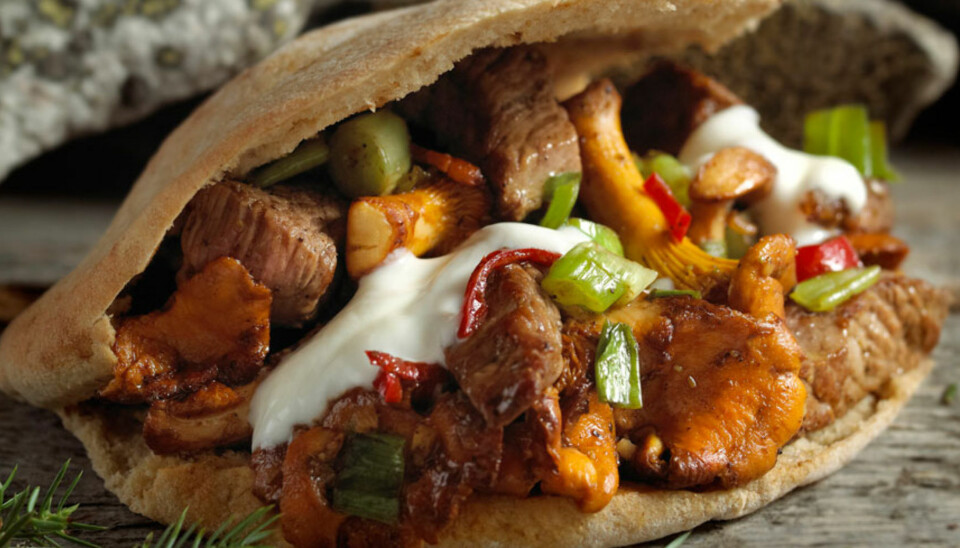 Dagens rett: Skau-kebab