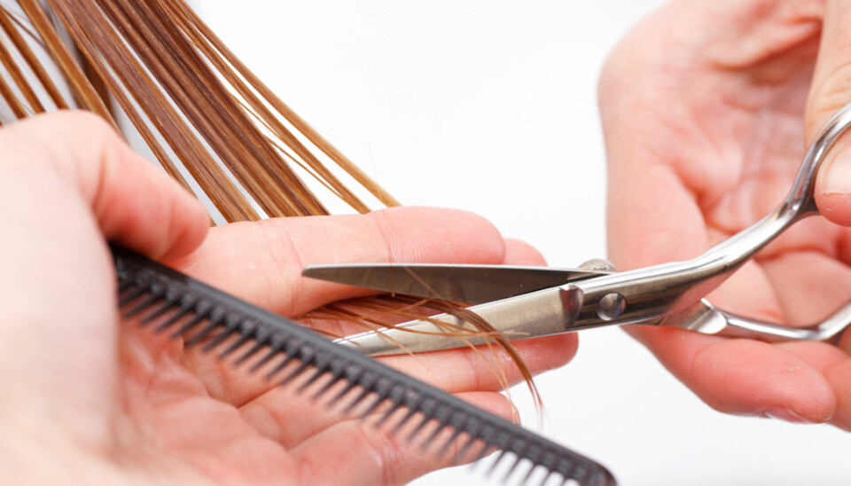 TRENGER IKKE KLIPPES SÅ OFTE: Agnes Marie Gulbrandsen er frisør og innehaver av frisørsalongen Gevir på Grünerløkka i Oslo. Hun forklarer til Kvinneguiden at dette med at hyppig klipping vil gi økt hårvekst er en myte mange tror på.