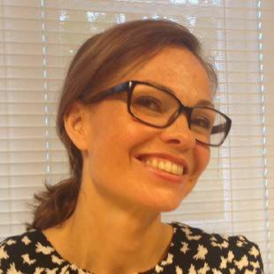 MARGRETE SYRSTAD ANDÅS: Doktor i kunsthistorie ved NTNU.