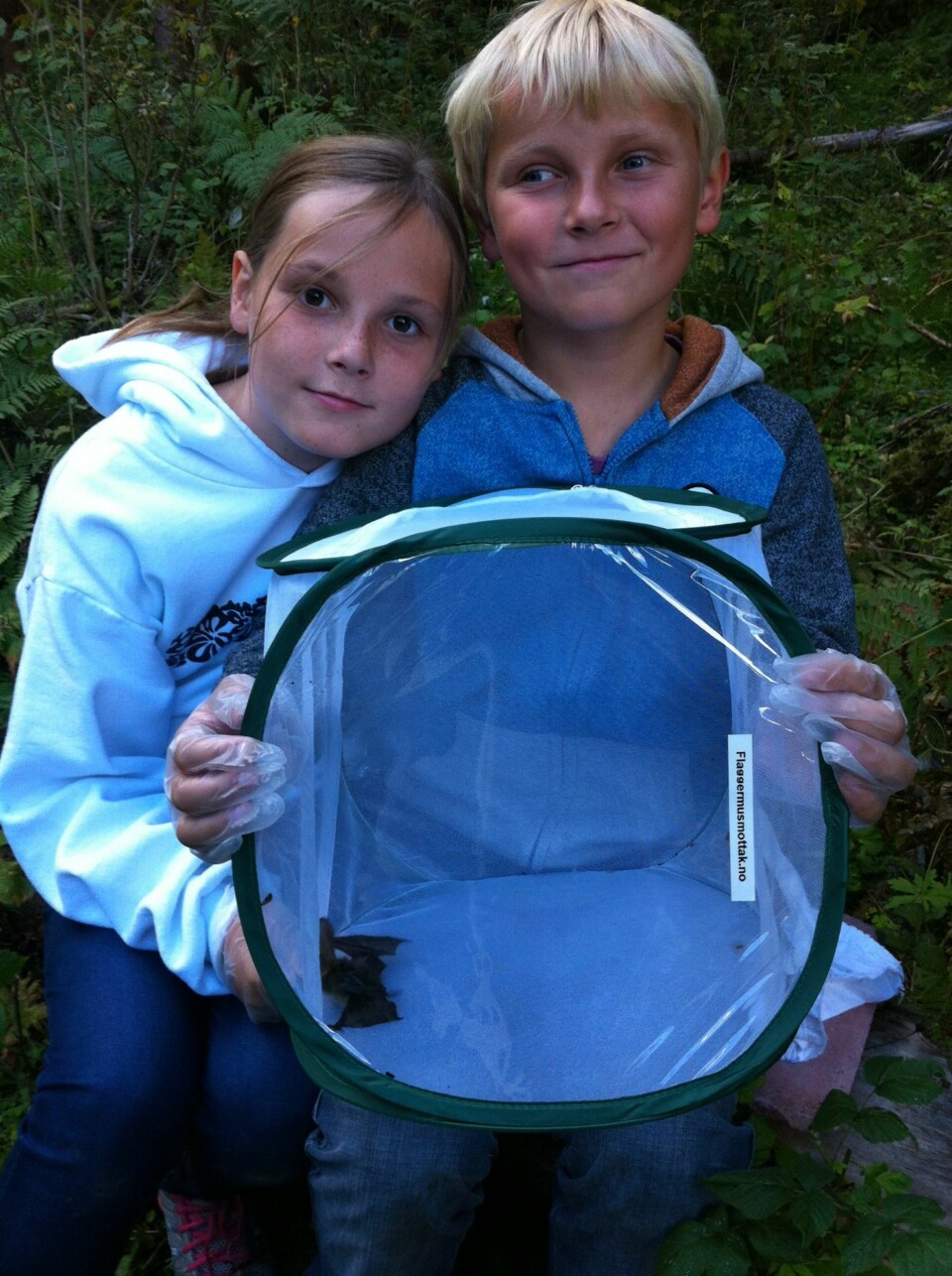 SJEKK HVA VI FANT: Prinsesse Ingrid Alex-andra og prins Sverre Magnus var med for å inspisere flaggermusene på Skaugum. Her er noen av de femten flaggermusene de fant i kassene.