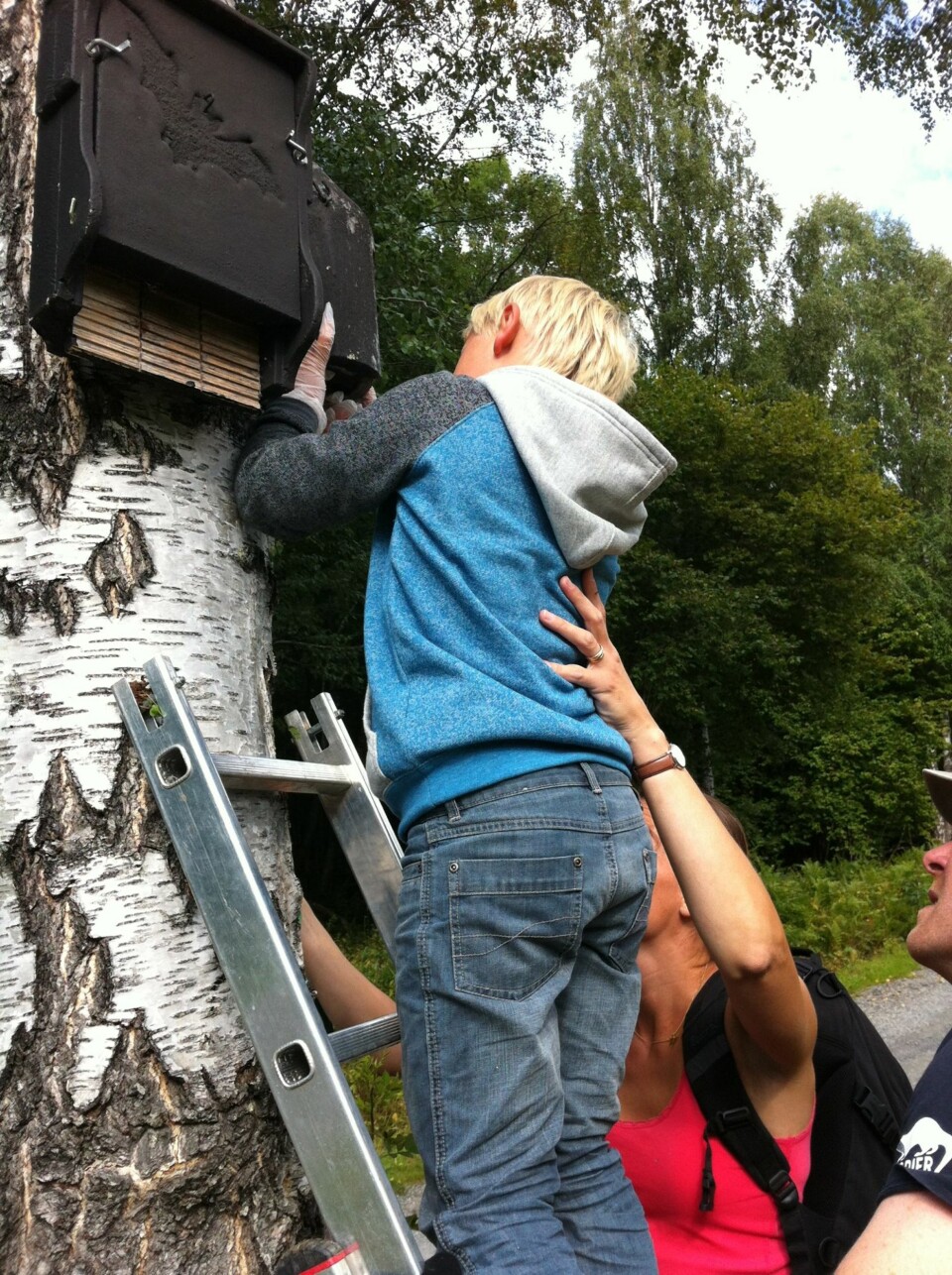 ER DET
NOEN HJEMME?: Prins Sverre Magnus er spent på om det bor noen inne i flaggermuskassen.