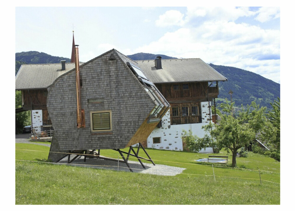 GÅRDSNÆRT: Sjelden fugl i Tyrol. GÅRDSNÆRT: Sjelden fugl i Tyrol.