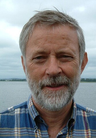 OTTAR HELLEVIK:  Professor ved Institutt for statsvitenskap ved Universitetet i Oslo.