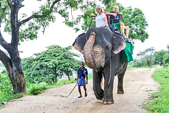 MINNER FOR LIVET: Dra på elefantsafari!