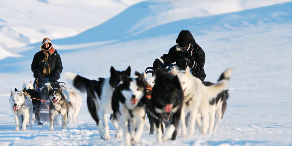 OPPLEVELSE: En av de mest populære utfluktene på Svalbard er hundespann-kjøring.