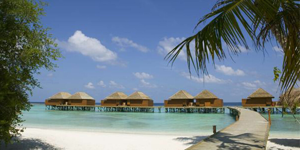 PARADIS: Veligandu Island Resort and Spa på Maldivene regnes som et av verdens mest romantiske hoteller. PARADIS: Veligandu Island Resort and Spa på Maldivene regnes som et av verdens mest romantiske hoteller.