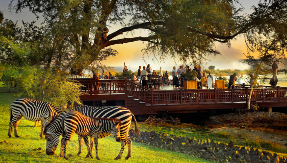 ROYAL LIVINGSTON HOTEL: Nyt de fantastiske omgivelsene i majestetiske Zambia.