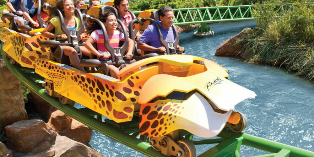 TØR DU? Busch Gardens i Tampa Bay har noen av verdens største berg-og-dalbaner. TØR DU? Busch Gardens i Tampa Bay har noen av verdens største berg-og-dalbaner.