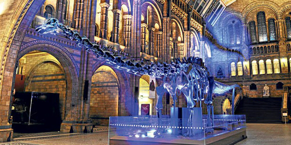 DINOSAURER: Disse spennende utstillingene finner du på Londons Natural History Museum.