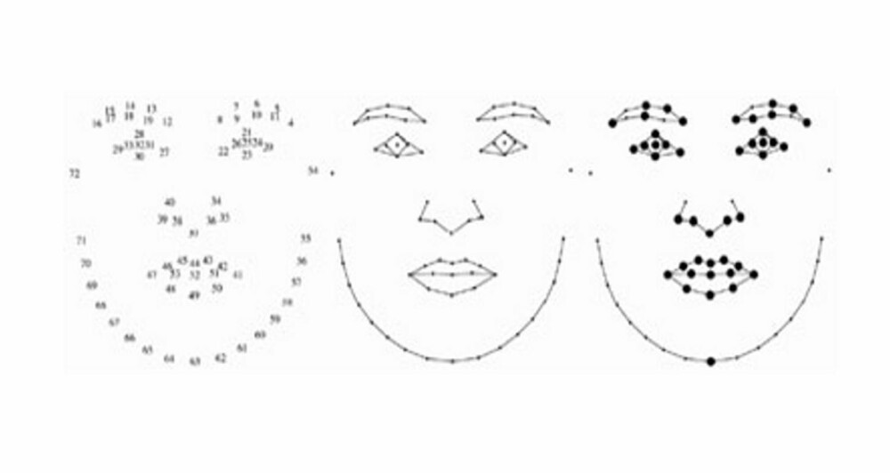 GEOMETRISERING: De tjekkiske forskerne benyttet en metode som kalles Goodalls permutation F-test, geometrisering av ansiktet. Visse punkter i ansiktet gis en bestemt tallverdi, slik figuren viser - ansiktets morphospace. Så undersøkte forskerne om det svært intelligente mennesket har vesentlig forskjellig plassering av såkalte semi-landmarks enn de som er mindre intelligent. Det viser det seg at forskerne ikke fant noen relasjon mellom ansiktets morphospace og IQ målt i IQ test. GEOMETRISERING: De tjekkiske forskerne benyttet en metode som kalles Goodalls permutation F-test, geometrisering av ansiktet. Visse punkter i ansiktet gis en bestemt tallverdi, slik figuren viser - ansiktets morphospace. Så undersøkte forskerne om det svært intelligente mennesket har vesentlig forskjellig plassering av såkalte semi-landmarks enn de som er mindre intelligent. Det viser det seg at forskerne ikke fant noen relasjon mellom ansiktets morphospace og IQ målt i IQ test.