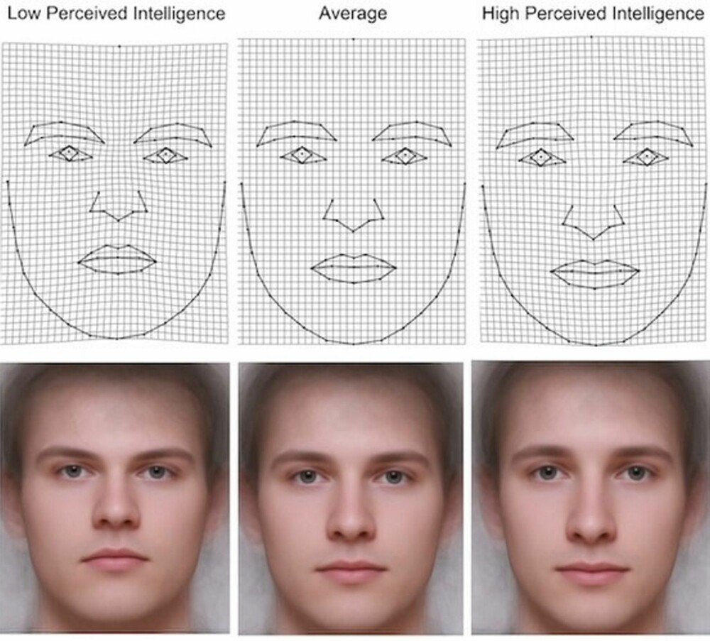 MER ELLER MINDRE INTELLIGENT: Illustrasjonen viser fra venstre hvordan et ""mindre intelligent"" ansikt, et ""gjennomsnittlig intelligent ansikt"" og et ""intelligent ansikt"" kan se ut i andres øyne.