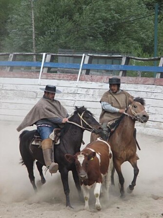 I CHILE: Louise besøkte Futaleufu i Chile. Bildet er fra en type rodeo som er en nasjonalsport. Hun fikk observere en trening i landsbyen før en stor konkurranse. 
- Jeg ble imponert over den voldelige, men likevel elegante sporten, sier hun.