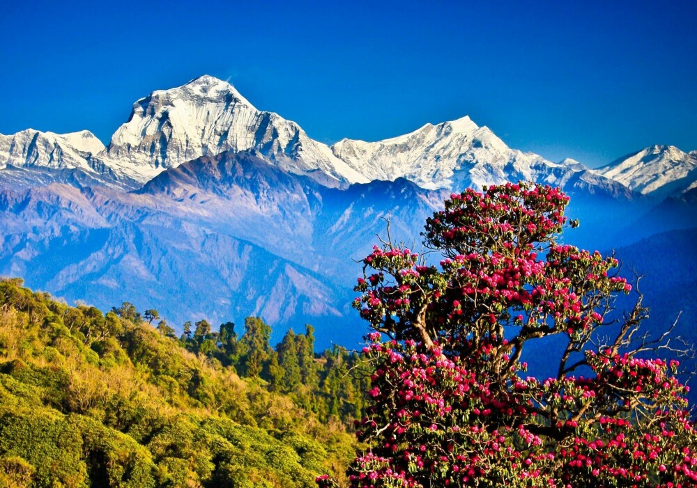 NEPAL: Mange drømmer om å begi seg ut på Mount Everest. FOTO: Wikimedia