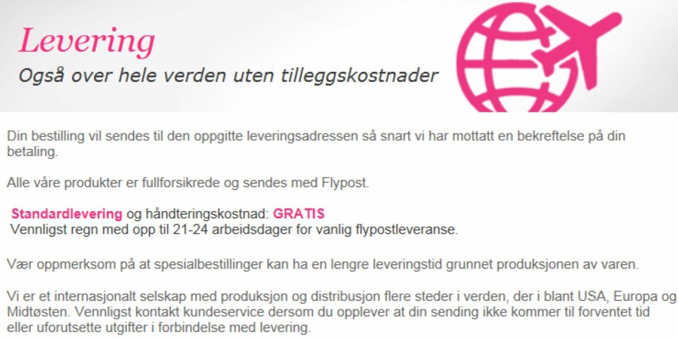 DIFFUS: Det er lett å tro at du ikke betaler ekstra for å få tilsendt varene fra mittnavnesmykke.no FOTO: Skjermdump