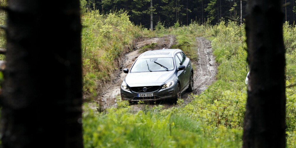 SKOGSTUR: I Cross Country-versjon er Volvo V60 helt klar for en tur utenfor allfarvei. Firehjulstrekksystemet er av Haldex-typen. 