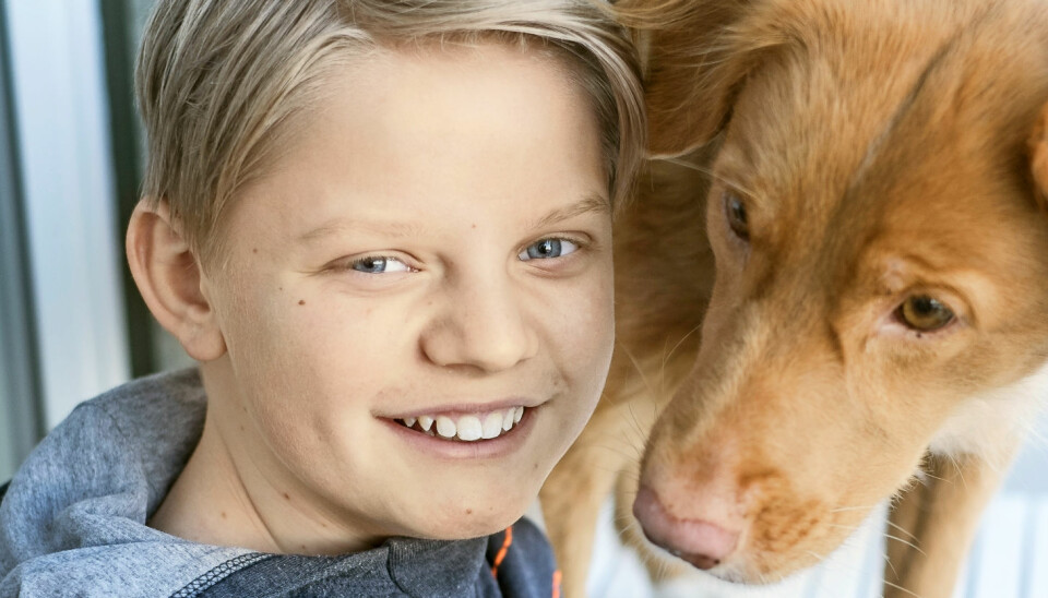 BESTEVENNER: Lissi er diabeteshund og lukter når Amund får lavt blodsukker.