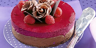 REN KAKEGLEDE: Konditor Sverre Sætre står bak denne deilige kaken med sjokolade og solbær.