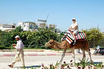 EKSOTISK: I Tunisia kan du ri på kameler.