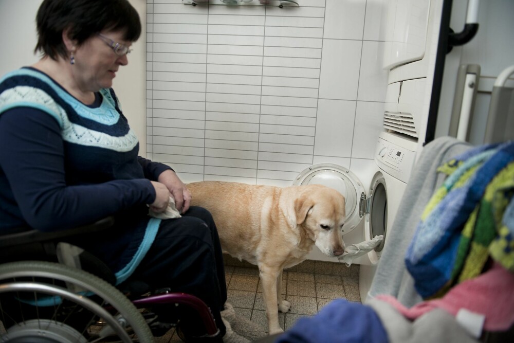 VASKEHUND: Marvin hjelper gjerne matmor med klesvasken. Han tar ett og ett plagg ut av trommelen.