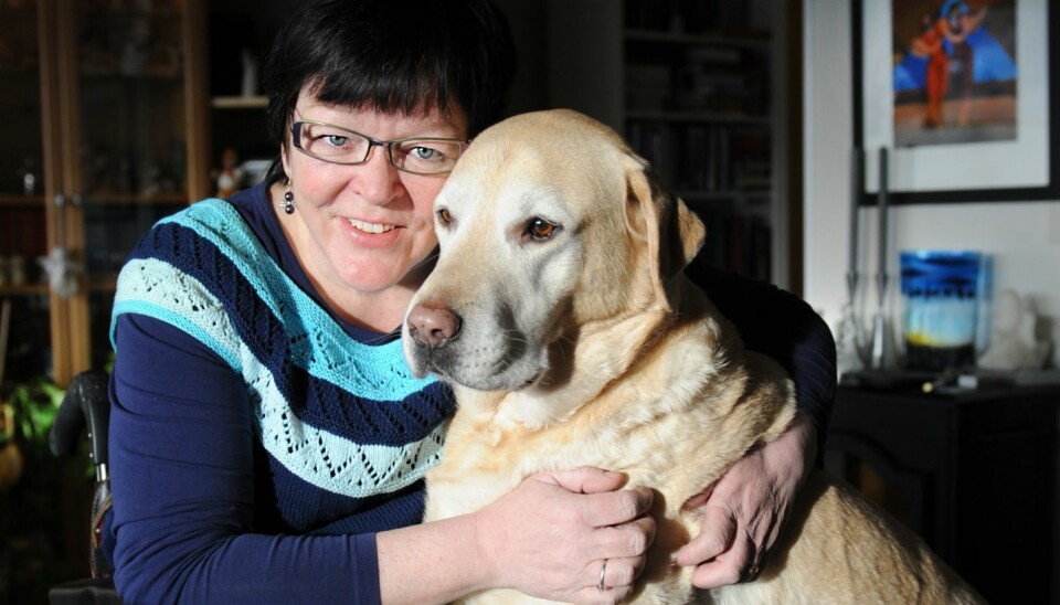 MATMORS BESTE VENN: Etter at Anne-Margrethe ble lam har en servicehund vært uunnværlig. - Marvin er utvilsomt min beste venn, sier hun.