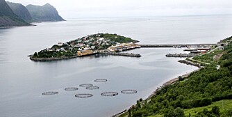 MEKTIG LANDSKAP: Det er en helt spesiell natur og fiskekultur det norske folk blir kjent med når TV 2 sender realityserien "Da daman dro".