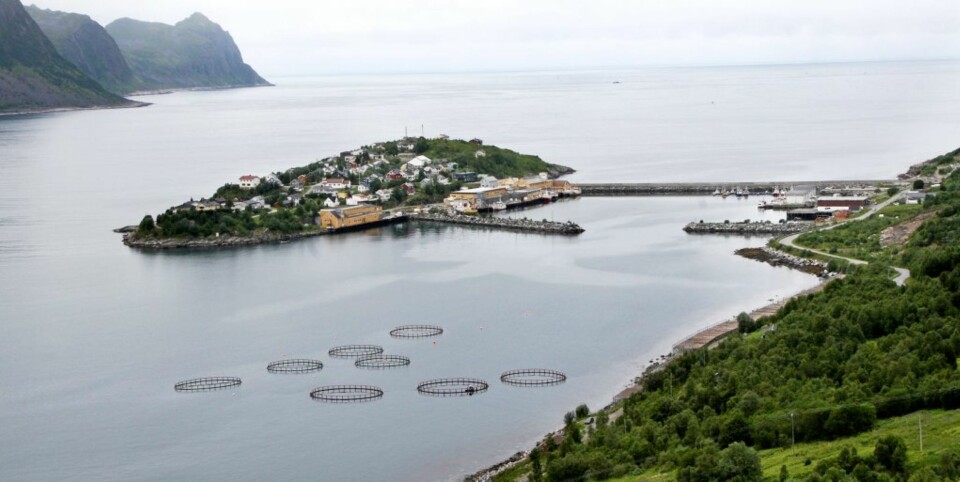 MEKTIG LANDSKAP: Det er en helt spesiell natur og fiskekultur det norske folk blir kjent med når TV 2 sender realityserien 'Da daman dro'.