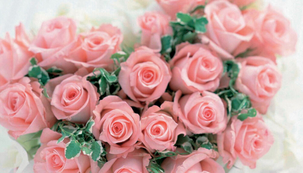 ROSE: Står for dyd og skjønnhet. ROSE: Står for dyd og skjønnhet.