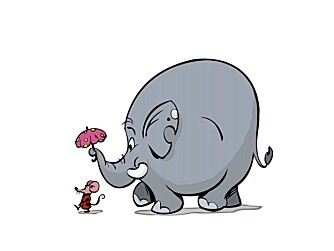 REDD: Neida, elefanten lar seg slettes ikke skremme av mus.