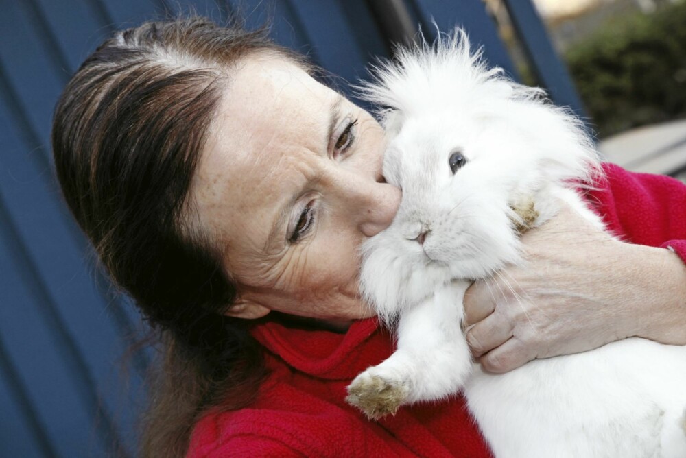 FORLATT: Den søte kaninen Kaja ble dumpet av eierne sammen med søsteren sin. Begge fikk nytt hjem hos Karen.