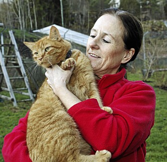 FUNNET I SØPLEKASSE: Murre fikk kattepest, men overlevde.