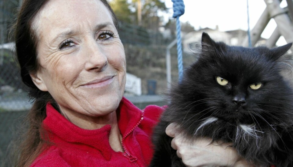 ALT FOR DYRENE: Karen bruker all tid på hjemløse dyr. Her med pusen Lucky Boy, som ble funnet i et blomsterbed 2 ½ uke gammel, og som Karen tok med hjem og flasket opp.